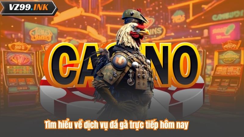 Tìm hiểu về dịch vụ đá gà trực tiếp hôm nay